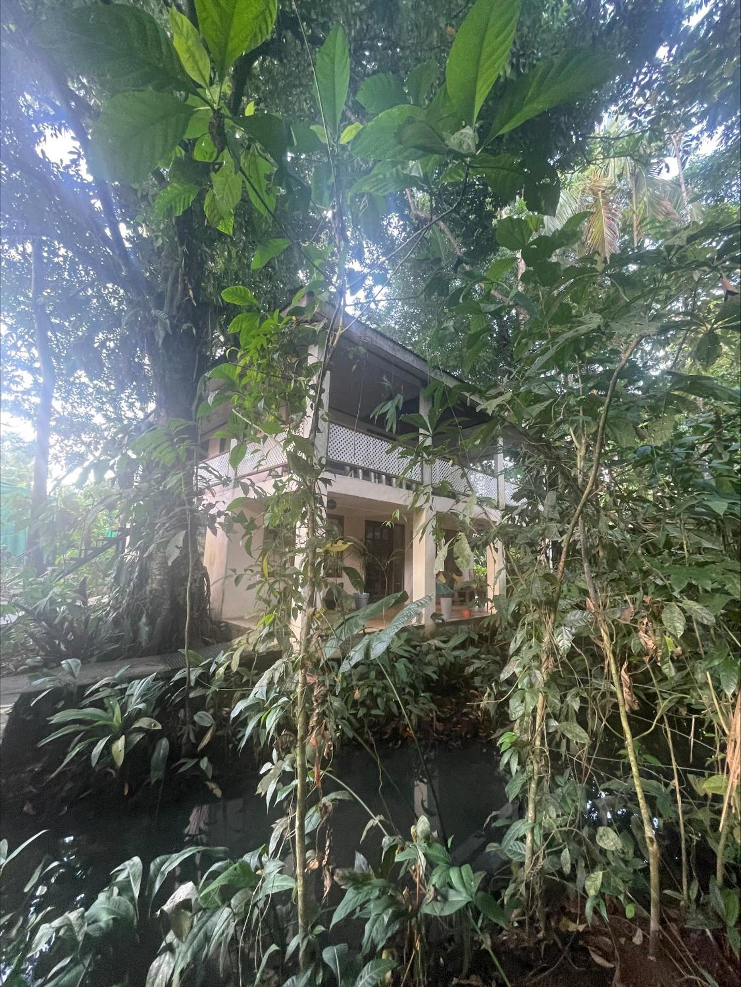 Casa Jaguar Tortuguero Villa Eksteriør billede