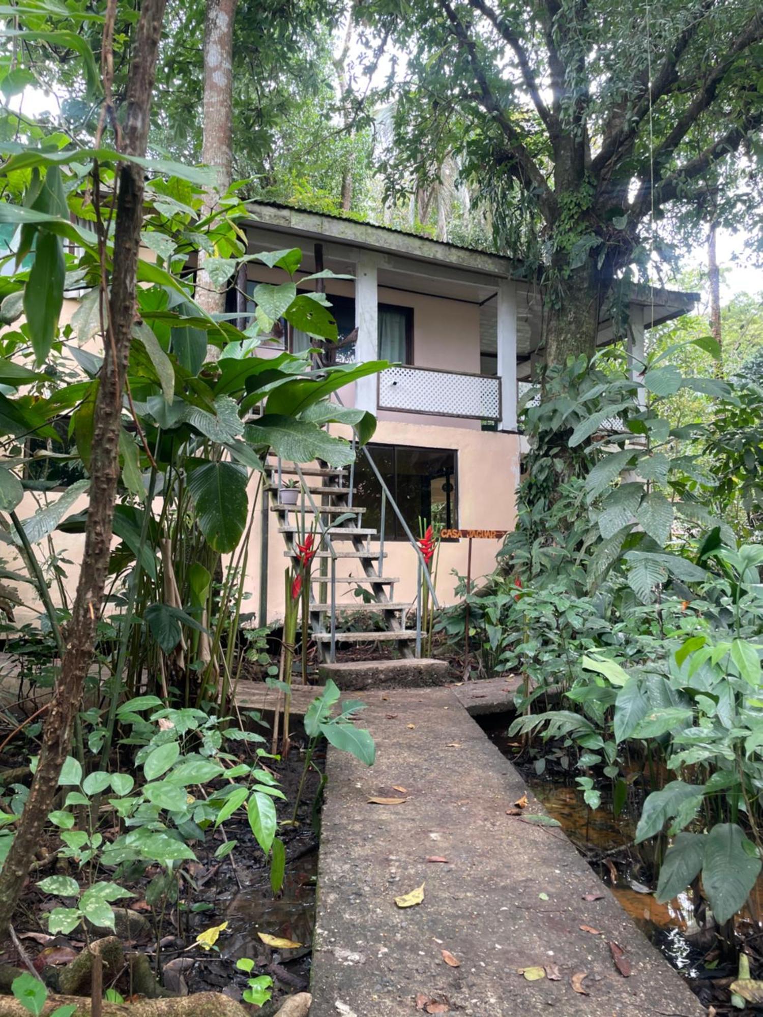 Casa Jaguar Tortuguero Villa Eksteriør billede