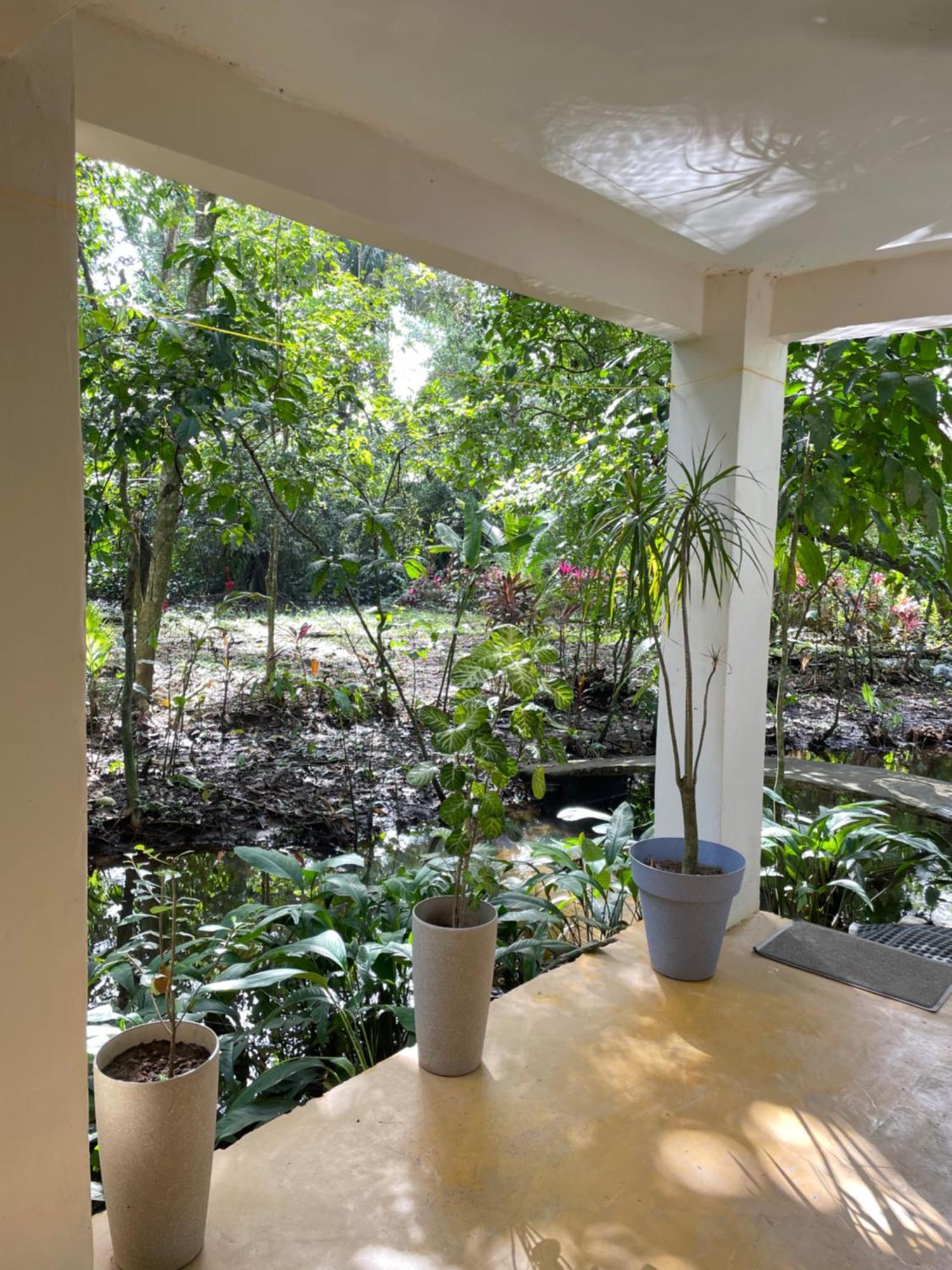 Casa Jaguar Tortuguero Villa Eksteriør billede